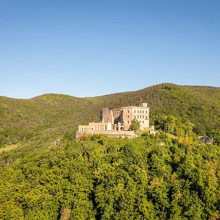 Hotel Panorama In 3*