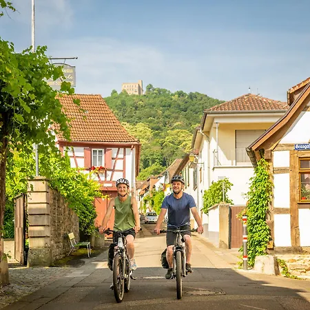 Hotel Panorama In 3*