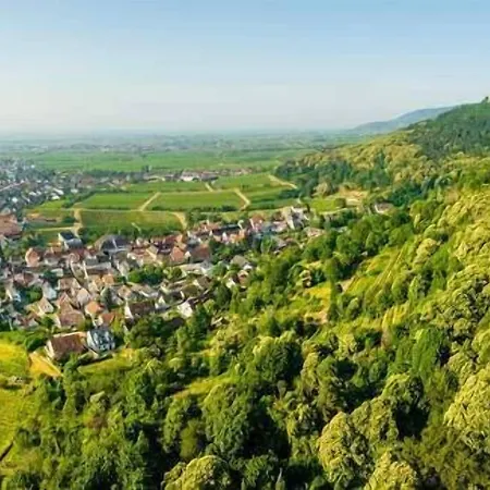 Panorama In