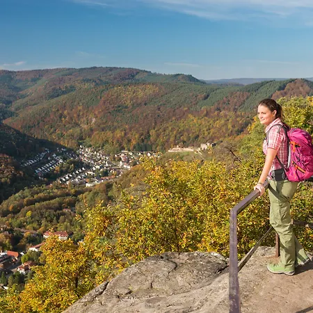 Hotel Panorama In 3*