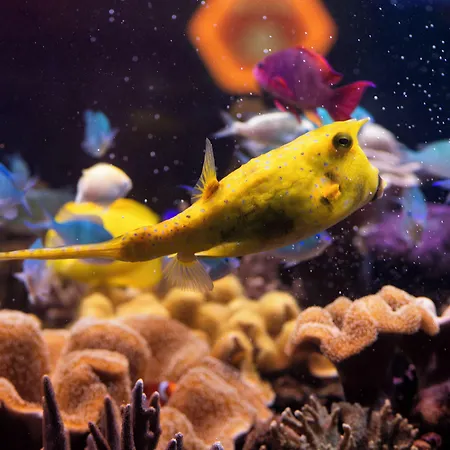 Szálloda Panorama In Neustadt an der Weinstraße