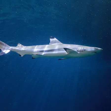 Panorama In 3* Neustadt an der Weinstraße