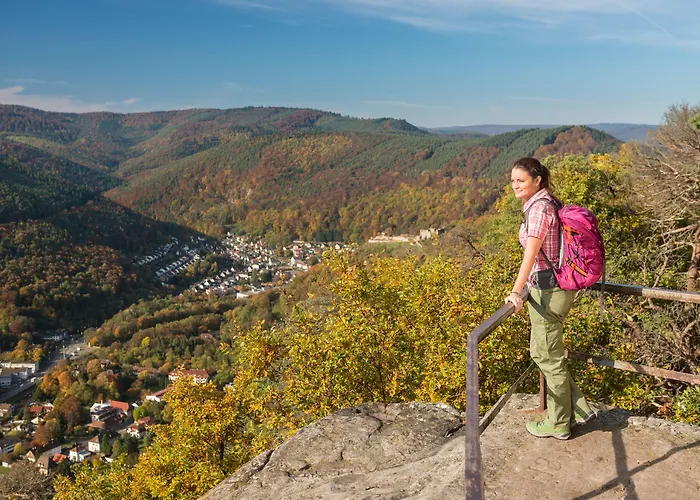 Hotel Panorama In 3*