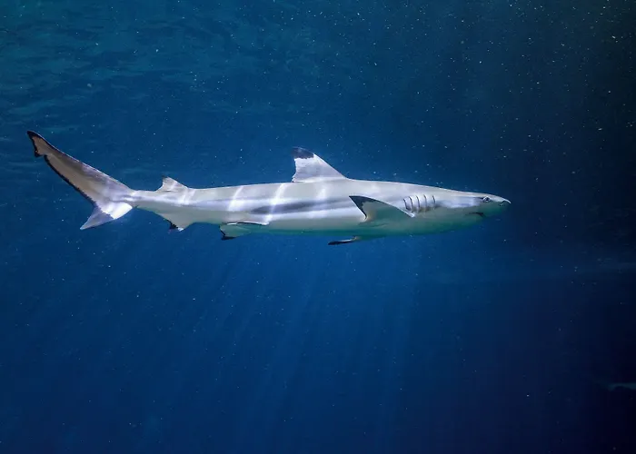 Panorama In 3* Neustadt an der Weinstraße